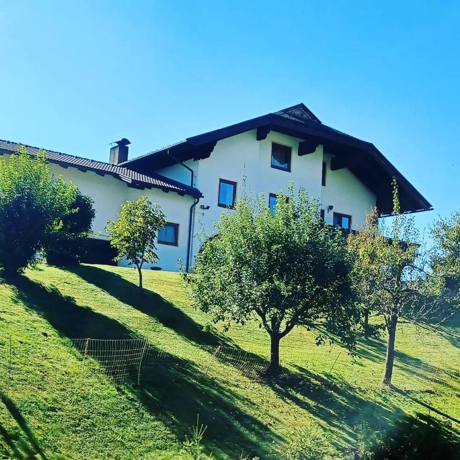Ferienwohnung Schaller Feistritz an der Drau Esterno foto
