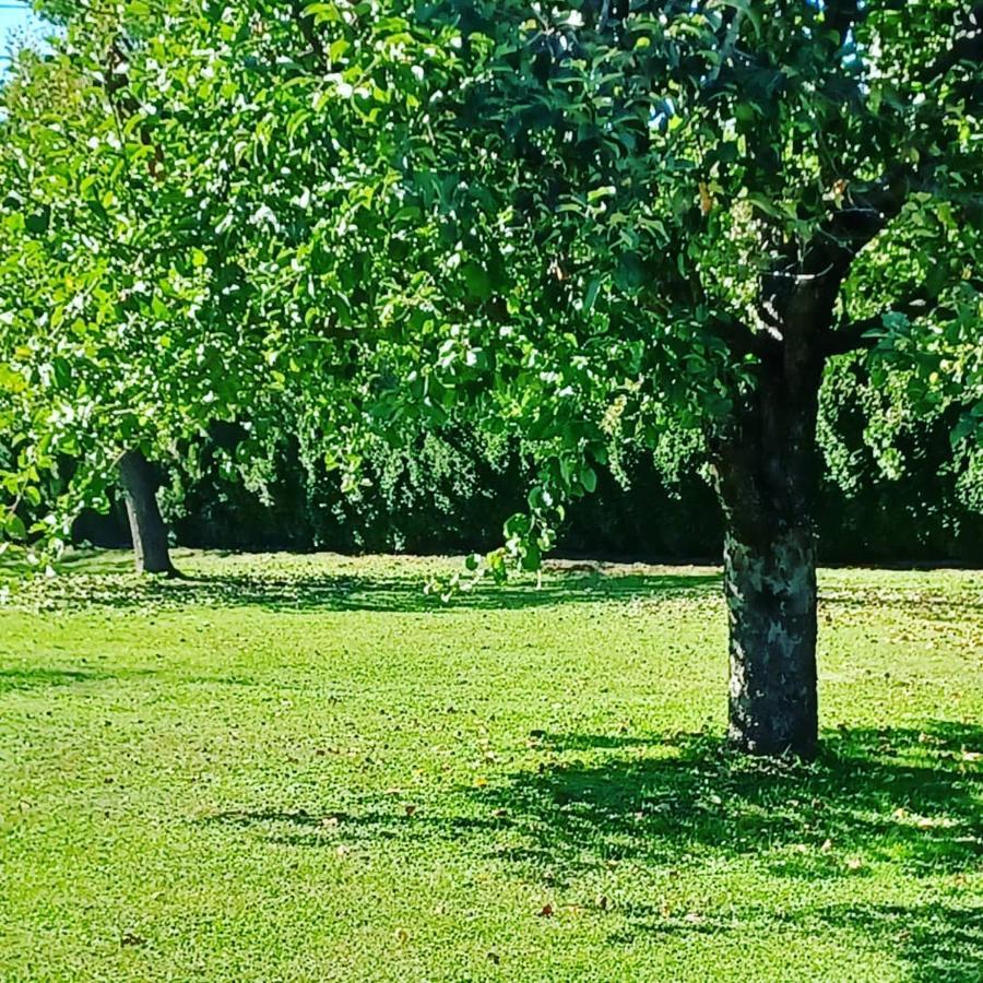 Ferienwohnung Schaller Feistritz an der Drau Esterno foto