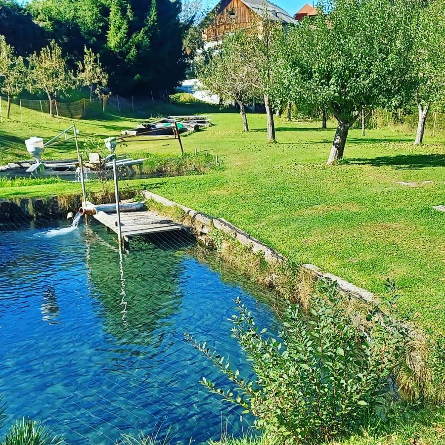 Ferienwohnung Schaller Feistritz an der Drau Esterno foto